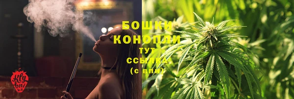PSILOCYBIN Арсеньев