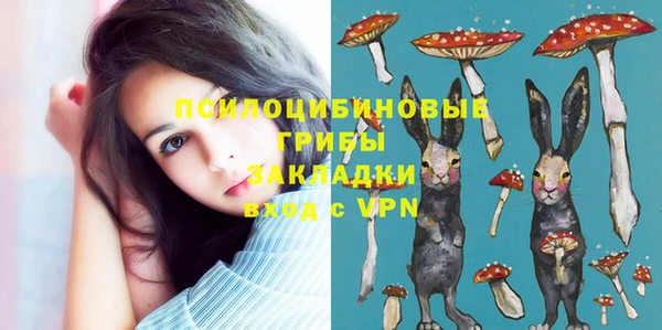PSILOCYBIN Арсеньев