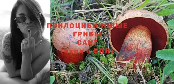гашик Армянск