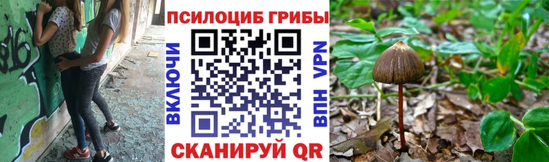 Галлюциногенные грибы Cubensis  ссылка на мегу tor  Малоархангельск  где продают наркотики 